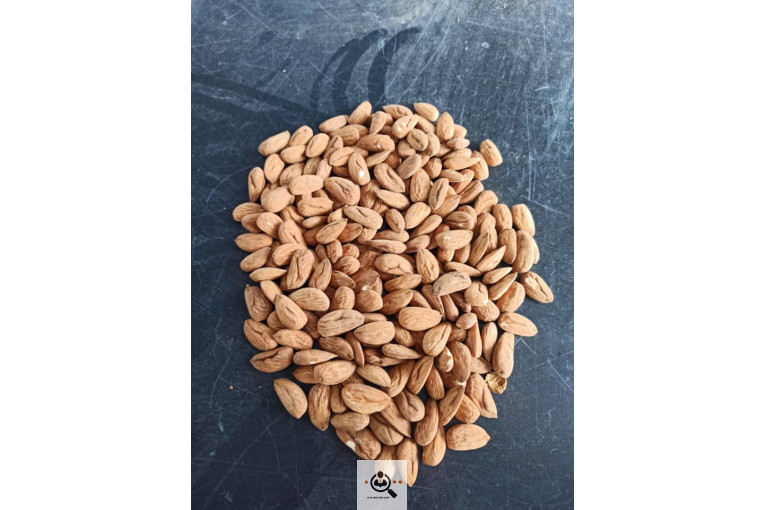 خشکبار کلاهی KOLAHI NUTS