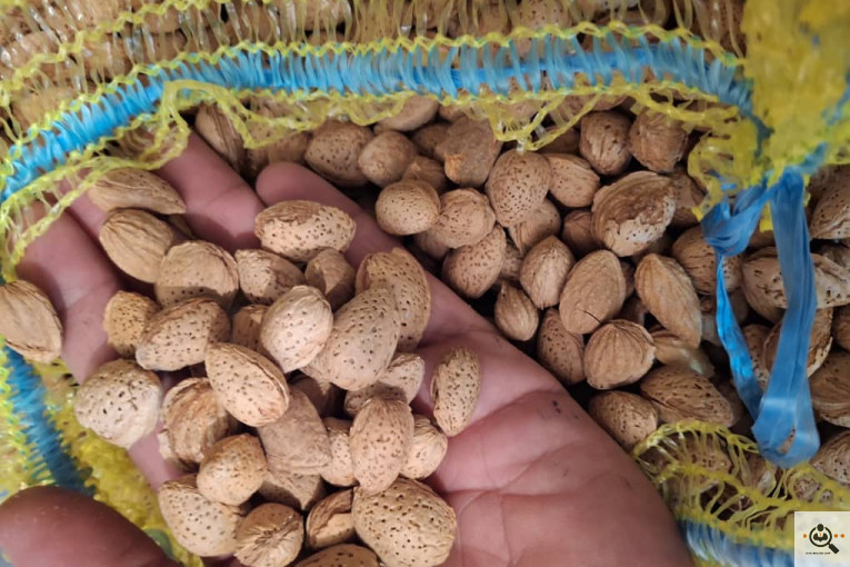 خشکبار کلاهی KOLAHI NUTS