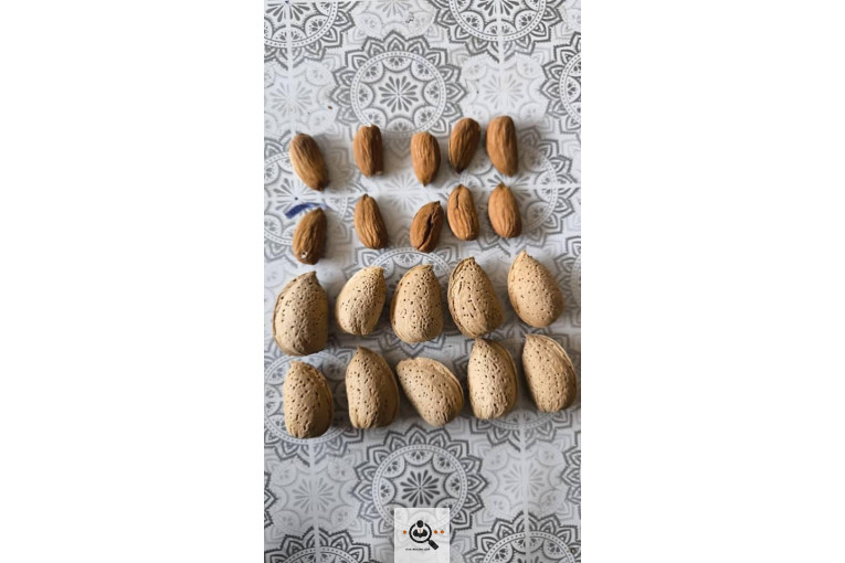 خشکبار کلاهی KOLAHI NUTS