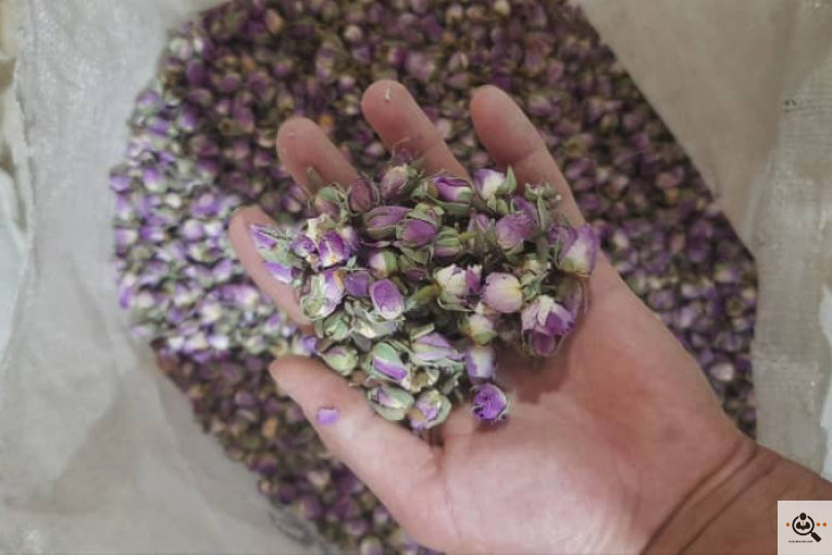 خشکبار کلاهی KOLAHI NUTS