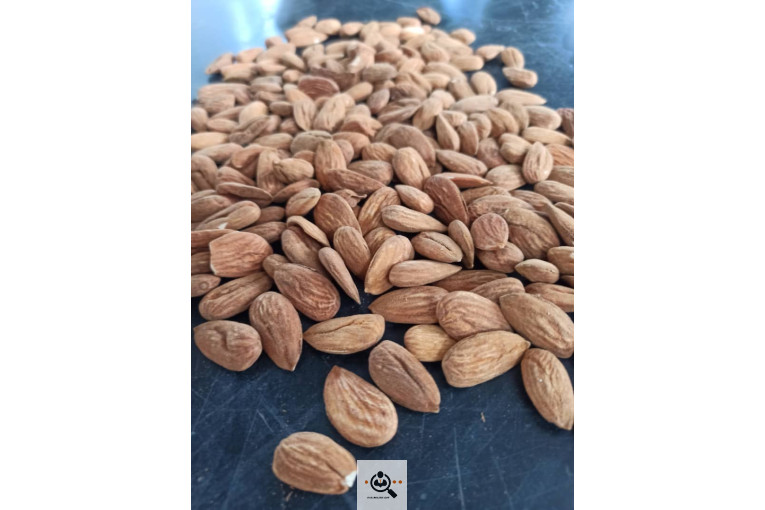خشکبار کلاهی KOLAHI NUTS