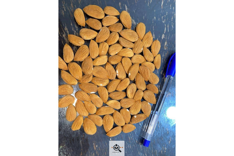 خشکبار کلاهی KOLAHI NUTS