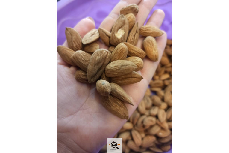 خشکبار کلاهی KOLAHI NUTS