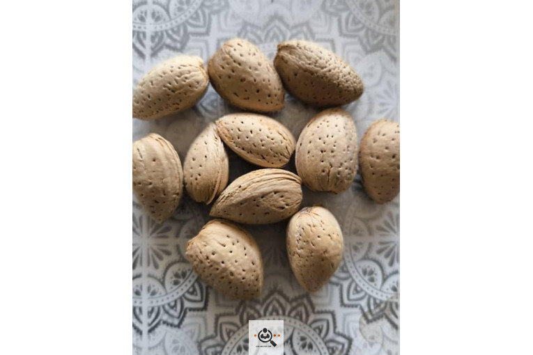 خشکبار کلاهی KOLAHI NUTS