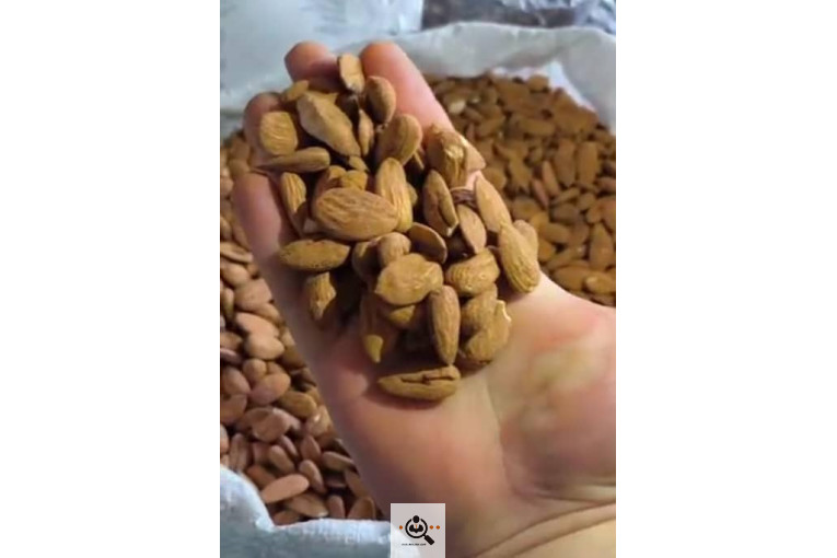 خشکبار کلاهی KOLAHI NUTS