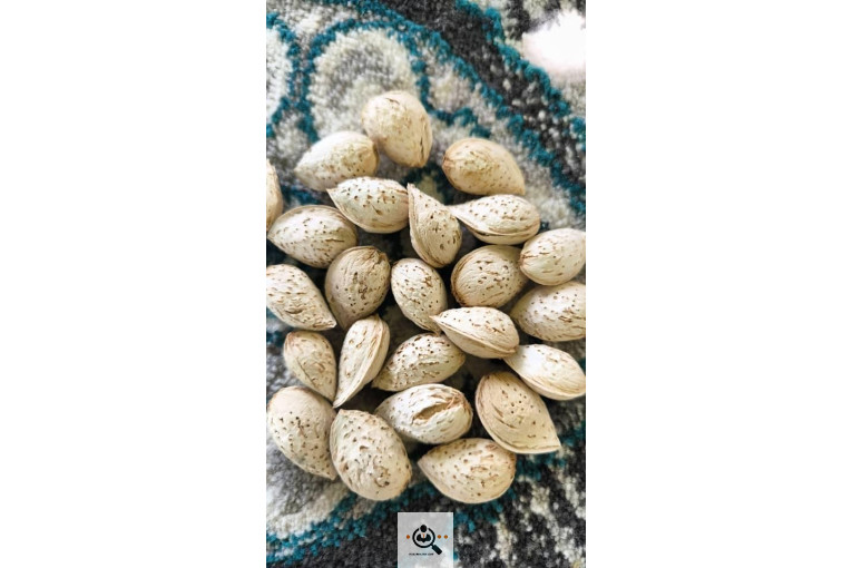 خشکبار کلاهی KOLAHI NUTS