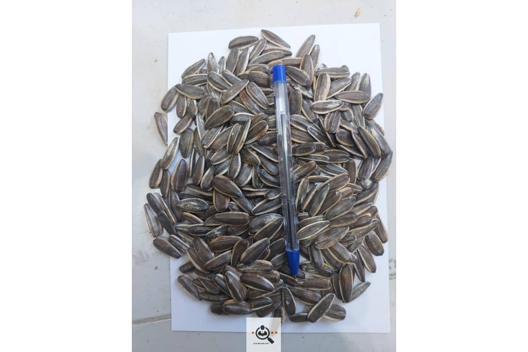 خشکبار کلاهی KOLAHI NUTS