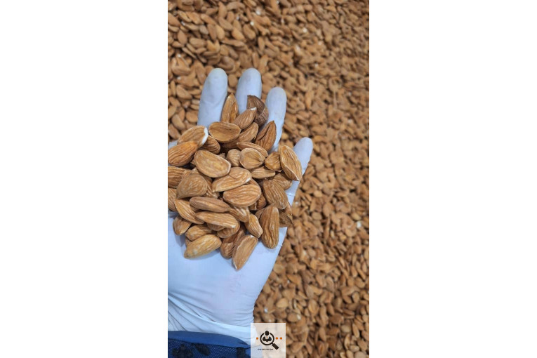 خشکبار کلاهی KOLAHI NUTS