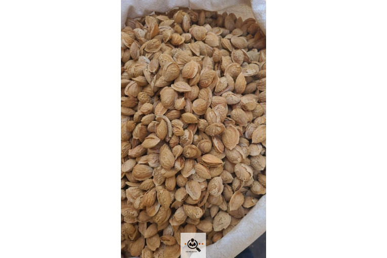 خشکبار کلاهی KOLAHI NUTS
