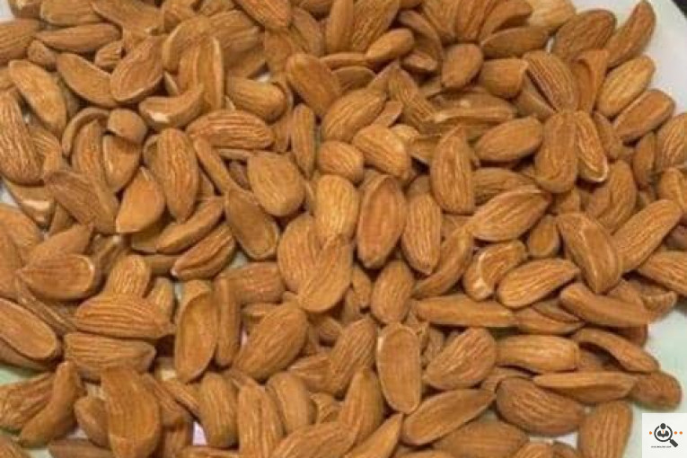 خشکبار کلاهی KOLAHI NUTS