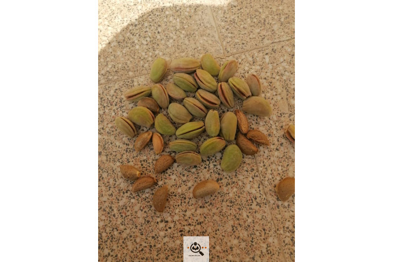 خشکبار کلاهی KOLAHI NUTS