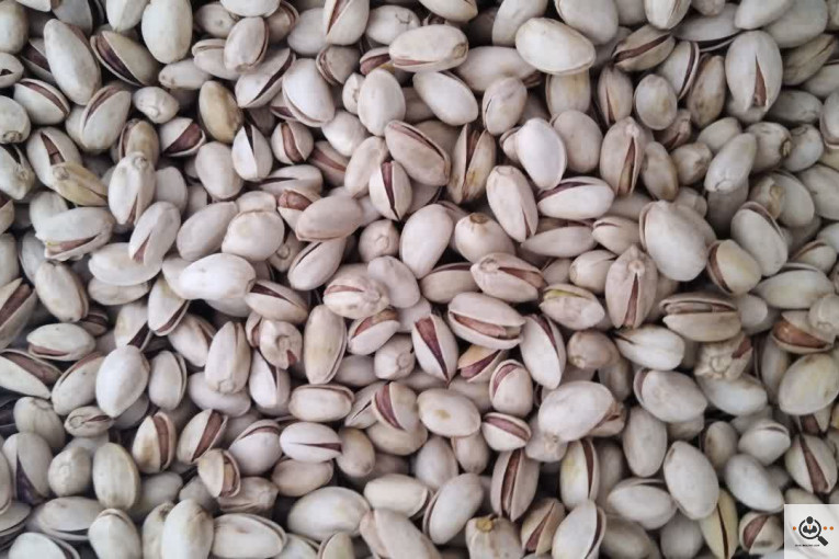 خشکبار کلاهی KOLAHI NUTS