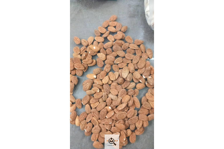 خشکبار کلاهی KOLAHI NUTS