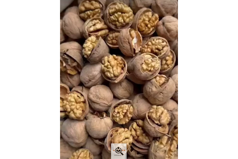 خشکبار کلاهی KOLAHI NUTS