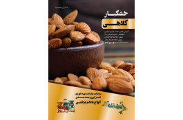 خشکبار کلاهی KOLAHI NUTS
