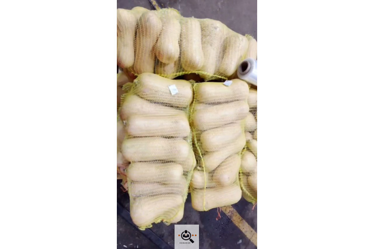 میوه جات و صیفی جات سالاری در جیرفت کرمان