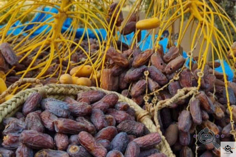 پخش و فروش خرمای پیارم در حاجی آباد