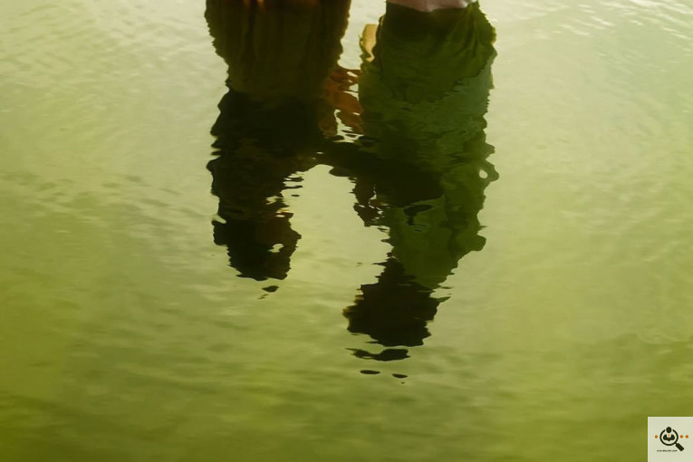 عکاسی فلاش در رشت