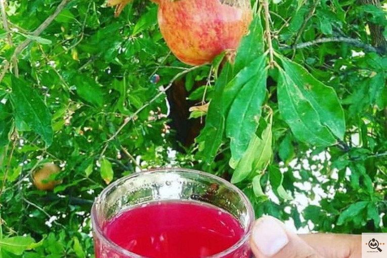 خريد و فروش انار در كوهمره سرخي نيريز شيراز