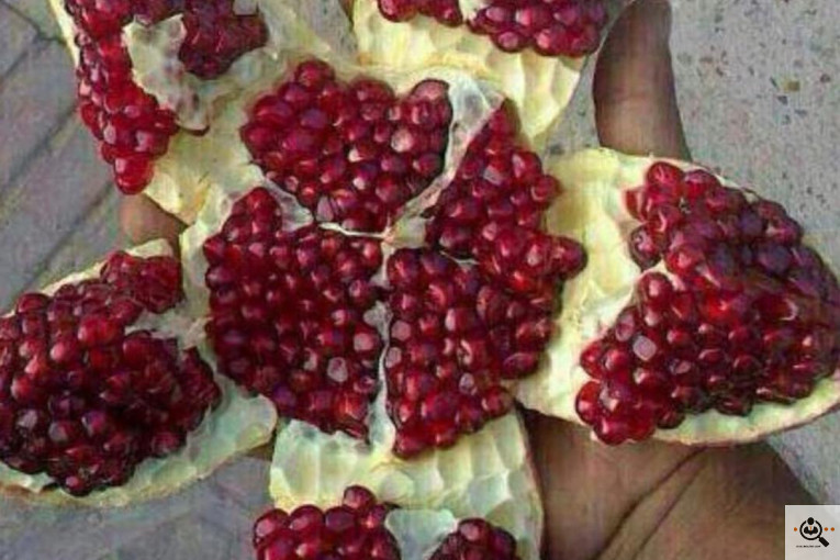 خريد و فروش انار در كوهمره سرخي نيريز شيراز