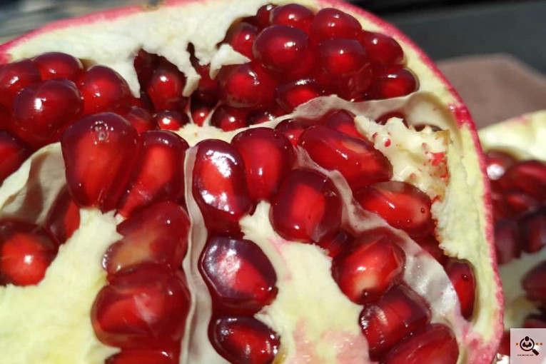 خريد و فروش انار در كوهمره سرخي نيريز شيراز
