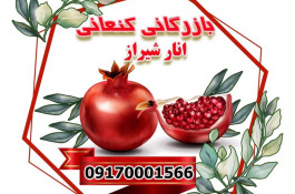 خريد و فروش انار در كوهمره سرخي نيريز شيراز