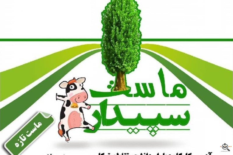 لبنیات سپیدار در زاهدان