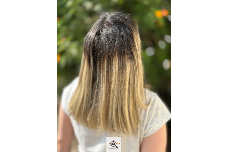 خدمات رنگ مو شادی نورمحمدی در لاهیجان