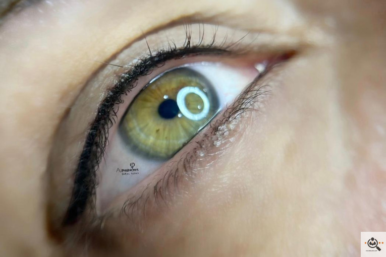 خدمات فیبروز و میکروبلیدینگ بهاره ستاری در عظیمیه کرج