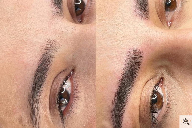 فیبروز شیوا مقدم در کرج