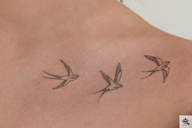 فیبروز شیوا مقدم در کرج