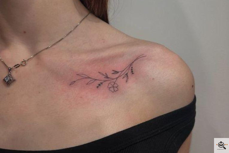 فیبروز شیوا مقدم در کرج