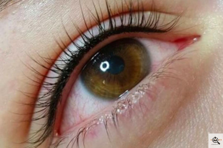 فیبروز شیوا مقدم در کرج