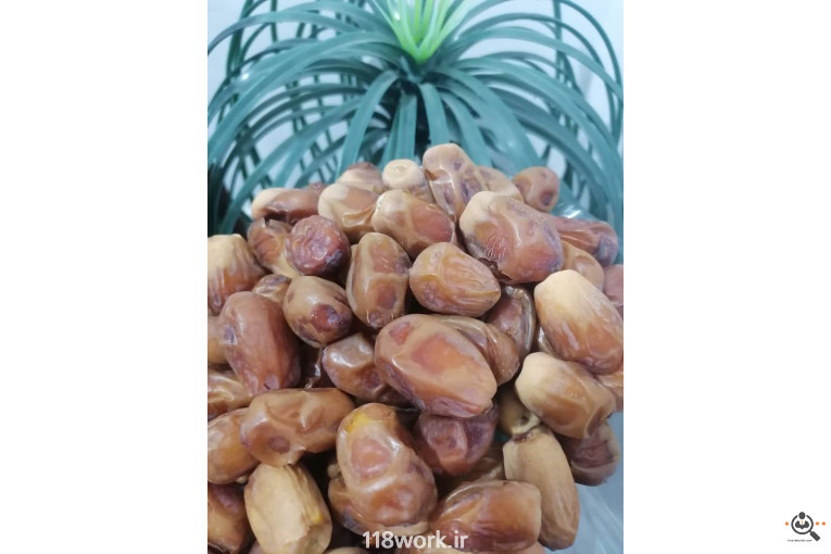 فروش و صادرات خرما رطب 3 در بوشهر