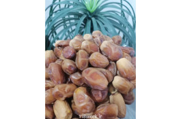 فروش و صادرات خرما رطب 3 در بوشهر