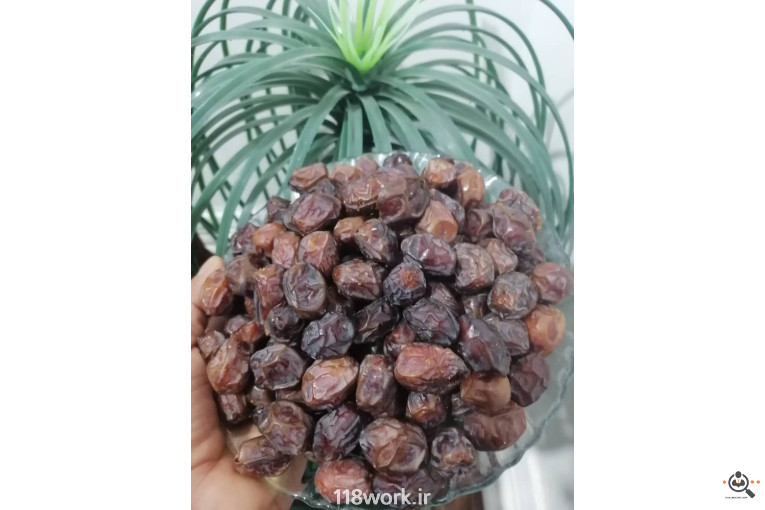 فروش و صادرات خرما رطب 3 در بوشهر