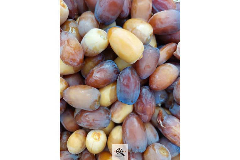 فروش و صادرات خرما رطب 3 در بوشهر