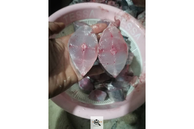 فروش و صادرات خرما رطب 3 در بوشهر