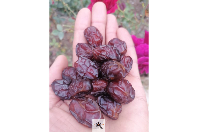 فروش و صادرات خرما رطب 3 در بوشهر