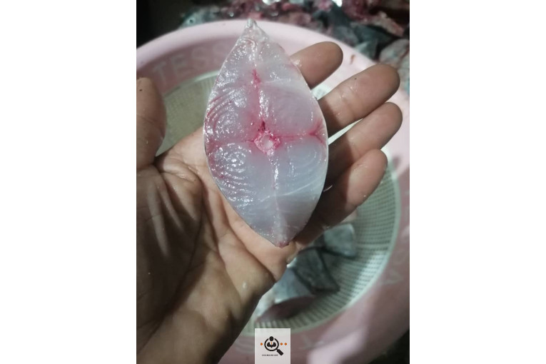 فروش و صادرات خرما رطب 3 در بوشهر