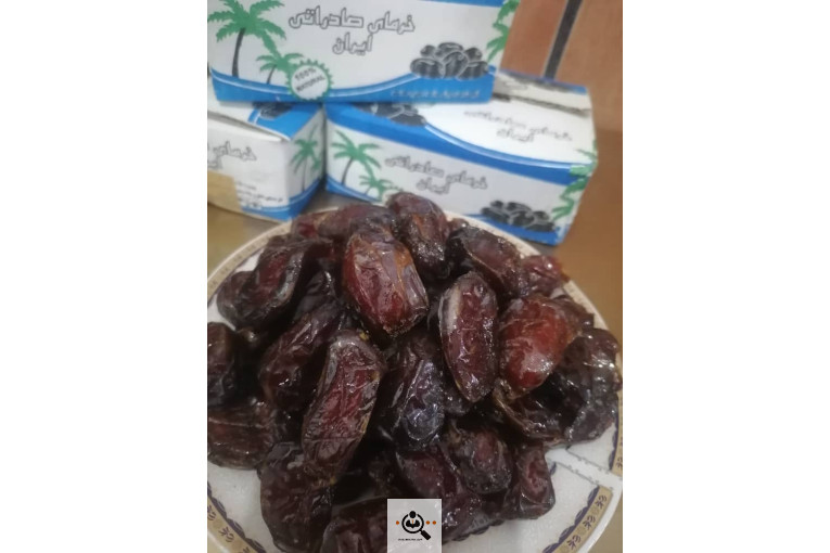 فروش و صادرات خرما رطب 3 در بوشهر