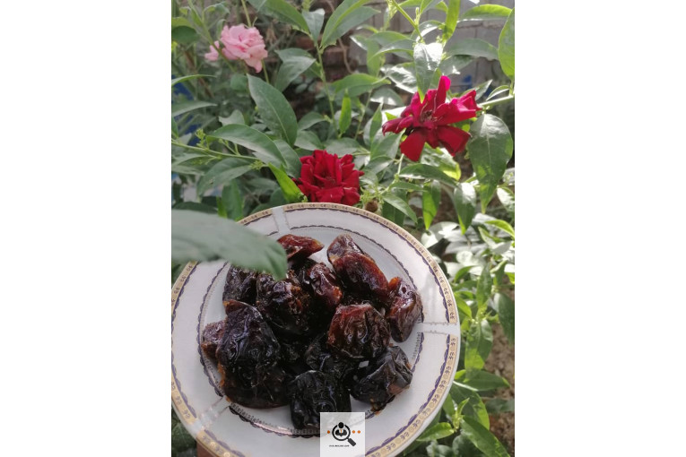 فروش و صادرات خرما رطب 3 در بوشهر