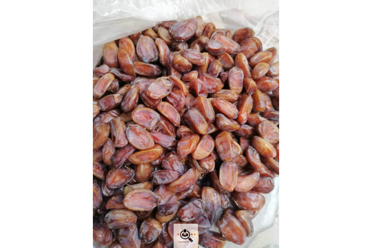 فروش و صادرات خرما رطب 3 در بوشهر