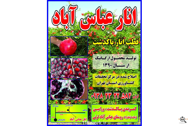 نهالستان انار عباس آباد (محمد لرنی) در پاکدشت