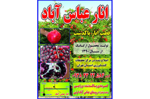 نهالستان انار عباس آباد (محمد لرنی) در پاکدشت
