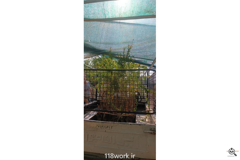 نهالستان انار عباس آباد (محمد لرنی) در پاکدشت