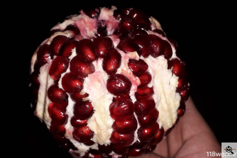 نهالستان انار عباس آباد (محمد لرنی) در پاکدشت