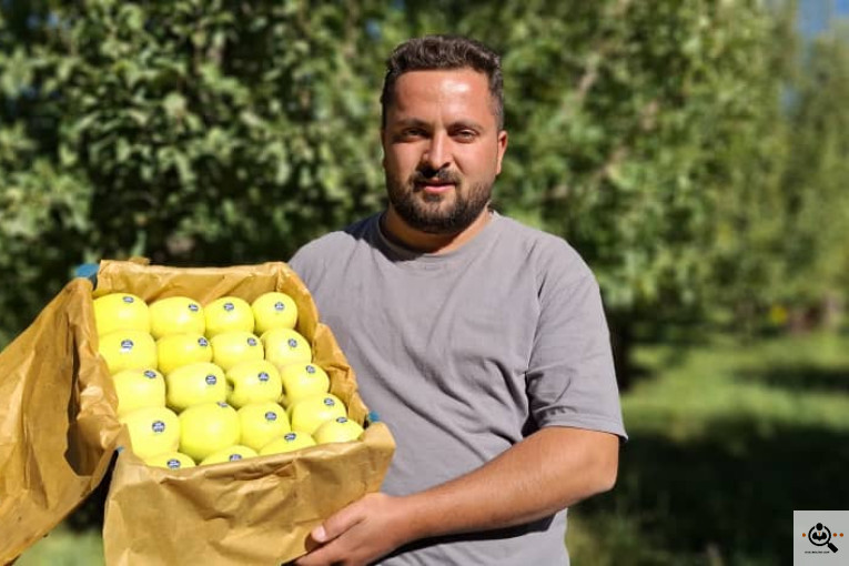 بازرگانی و صادرات انواع میوه ستار خضری در اشنویه