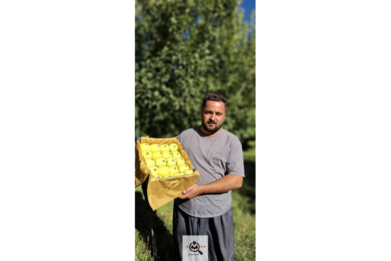 بازرگانی و صادرات انواع میوه ستار خضری در اشنویه