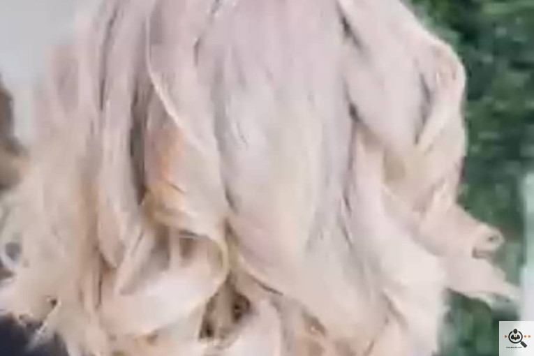 آموزشگاه و سالن زیبایی آمتیس در کرج